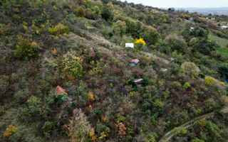 Teren 18,300mp Ghioroc - Poză 14