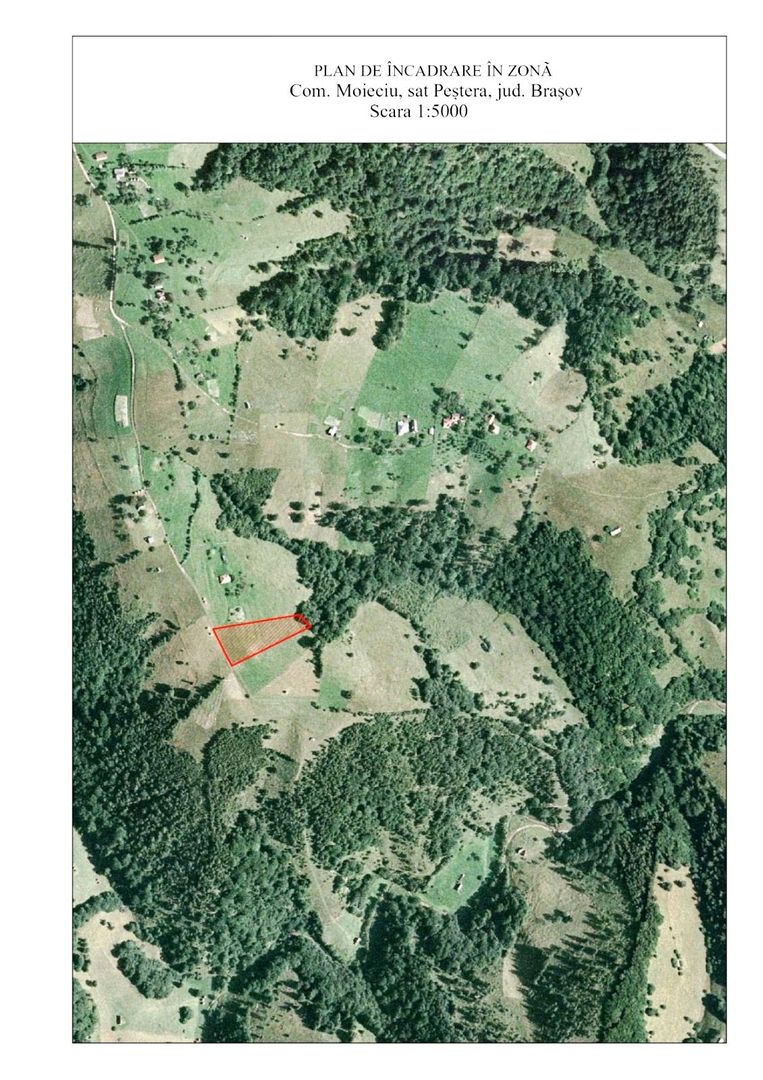 Teren pe platoul satului Pestera - Poză 5