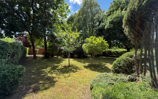 Casa unica in Timisoara: 5 camere - 3 bai - 2 garaje - 950 mp de teren - Poză 4
