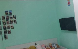 Apartament 2 camere Sagului etaj 4 cu acoperis de tigla - Poză 6