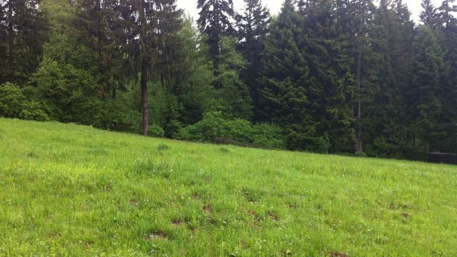 Teren intravilan Cotul Donului,pretabil Hotel/pensiune. - Poză 1