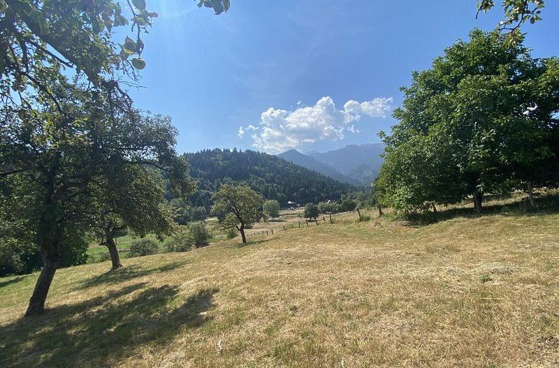 Teren extravilan de vânzare în Râșnov | 6.070 mp | Vedere panoramică - Poză 4