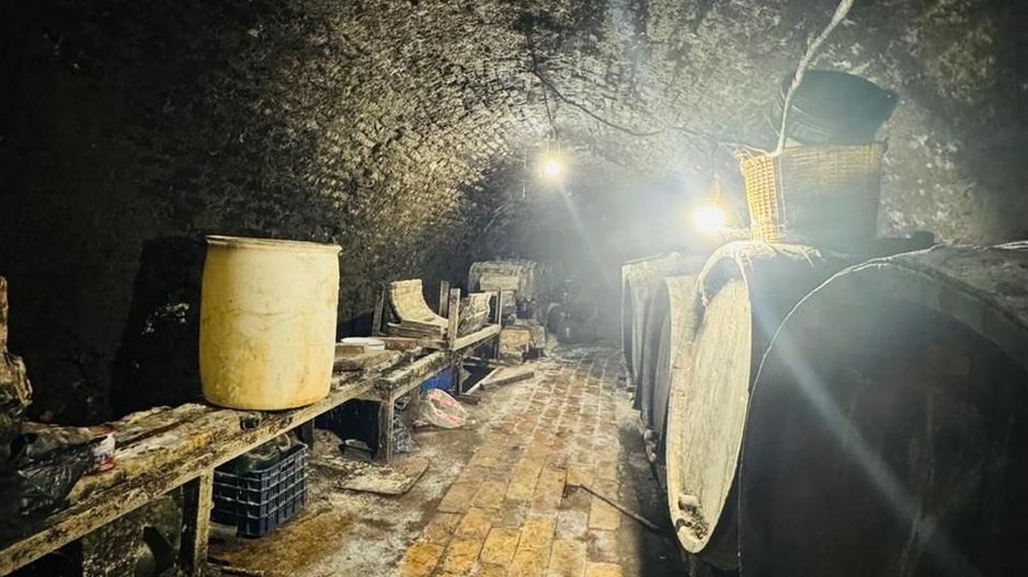 Crama + Teren - Poză 3