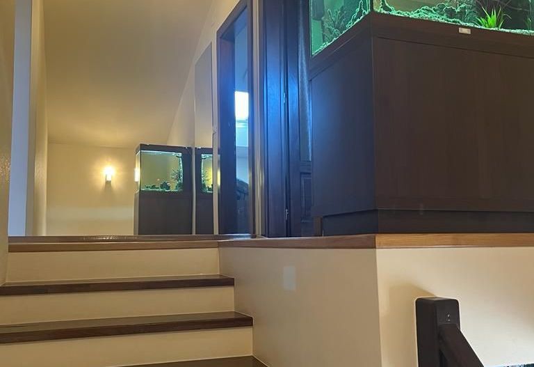 Casa individuala in Timisoara - Poză 5