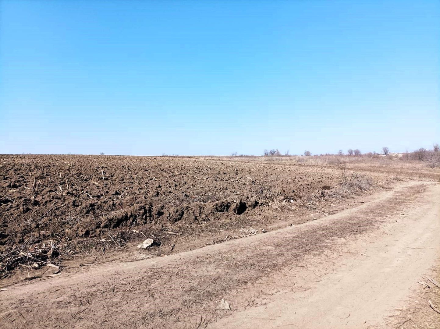 Teren Agricol de Vânzare - 162 Ari în or. Singera, Extravilan 🌿 - Poză 2