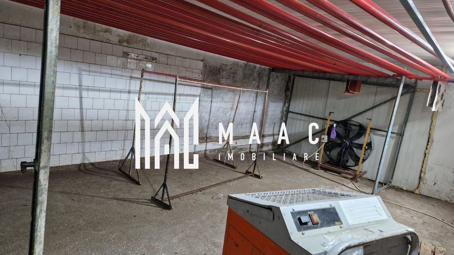 Spatiu comercial | Teren | 1533 MP | Gradina | Turnisor - Poză 5