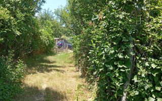 Casă de vânzare cu teren în comuna Schitu Duca, sat Dumitreștii Găleți, Iași - Poză 2