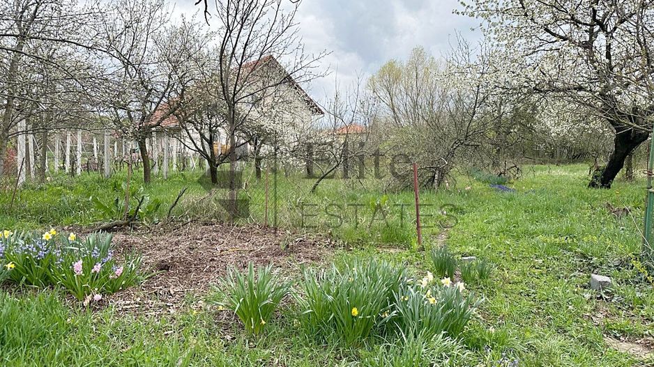Teren intravilan 1270 mp Spitalul TBC | Dealuri Oradea - Poză 1