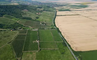 Vie Tradițională „Halta Lupilor” - Poză 32