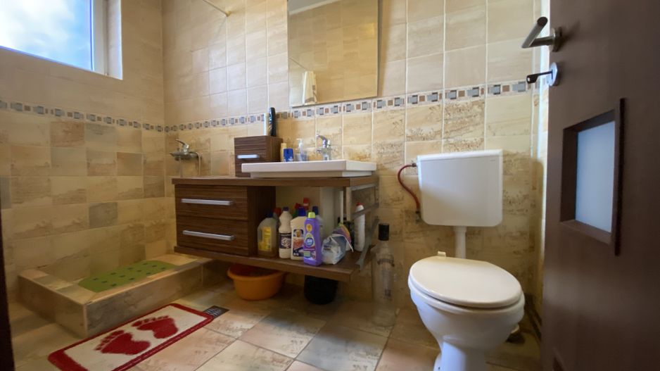 Vila individuala Stefanestii de Jos - Poză 13