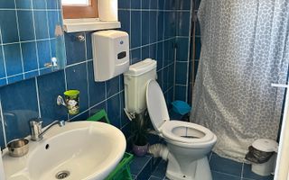 SPATIU COMERCIAL DOMENII, LOC PARCARE, CENTRALA, MOBILAT/UTILAT, CURTE - Poză 6