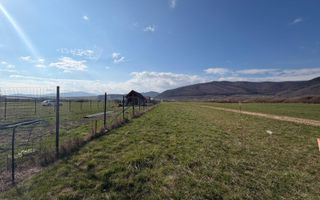 Teren intravilan |1000 MP | Poplaca - Poză 3