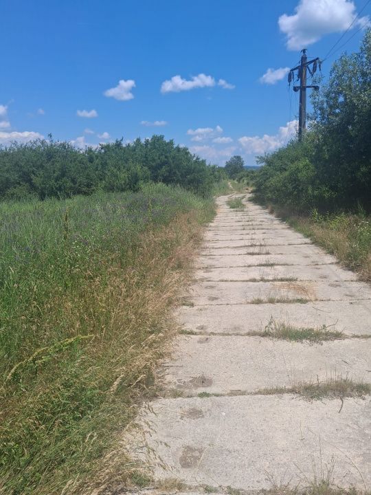 Teren extravilan 2.500 mp | Str. Ana Ipătescu, Târgu Jiu  - Poză 1