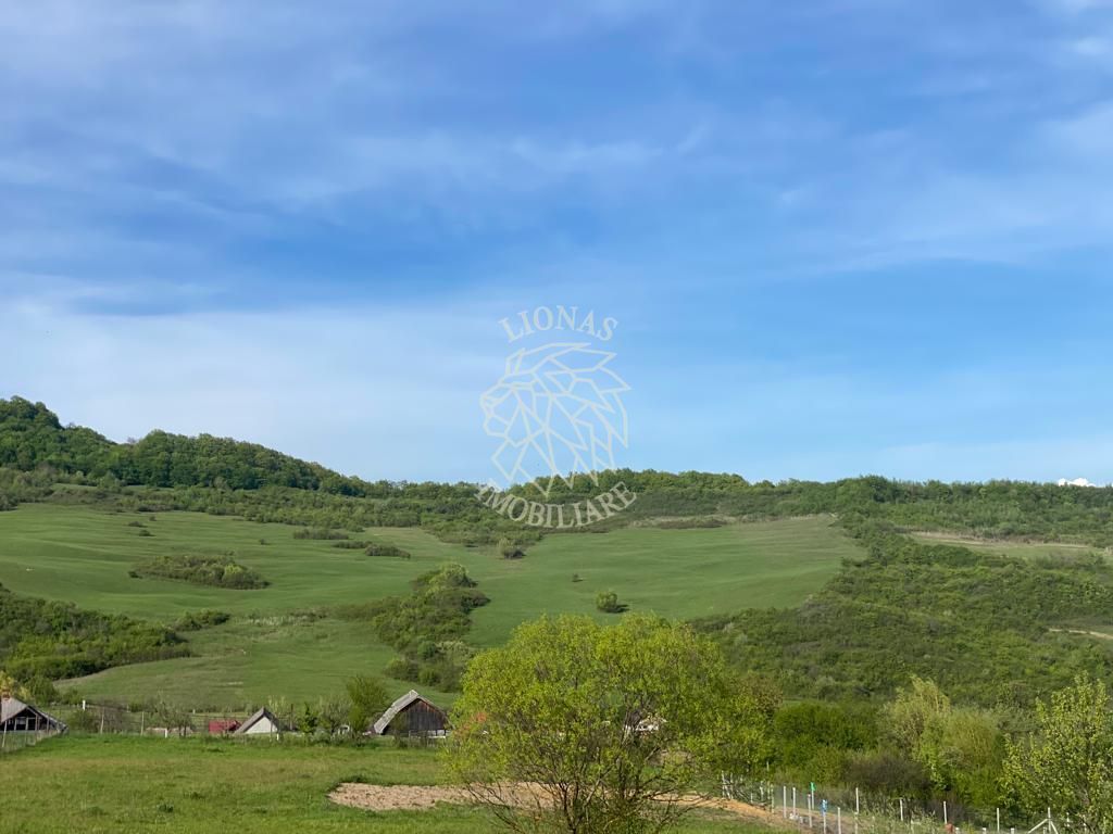 Teren 2160 mp - pretabil pentru cabana - investitie - Jelna - Poză 3