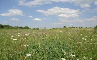 Teren 5,000mp Cluj-Napoca / Strada Intre Lacuri - Poză 1