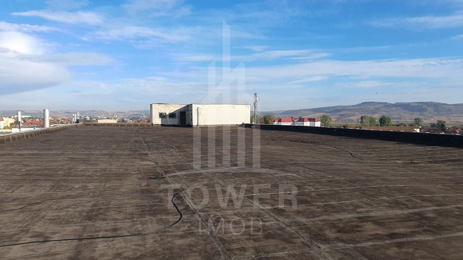 Spațiu industrial de închiriat 1.200 mp - Poză 4