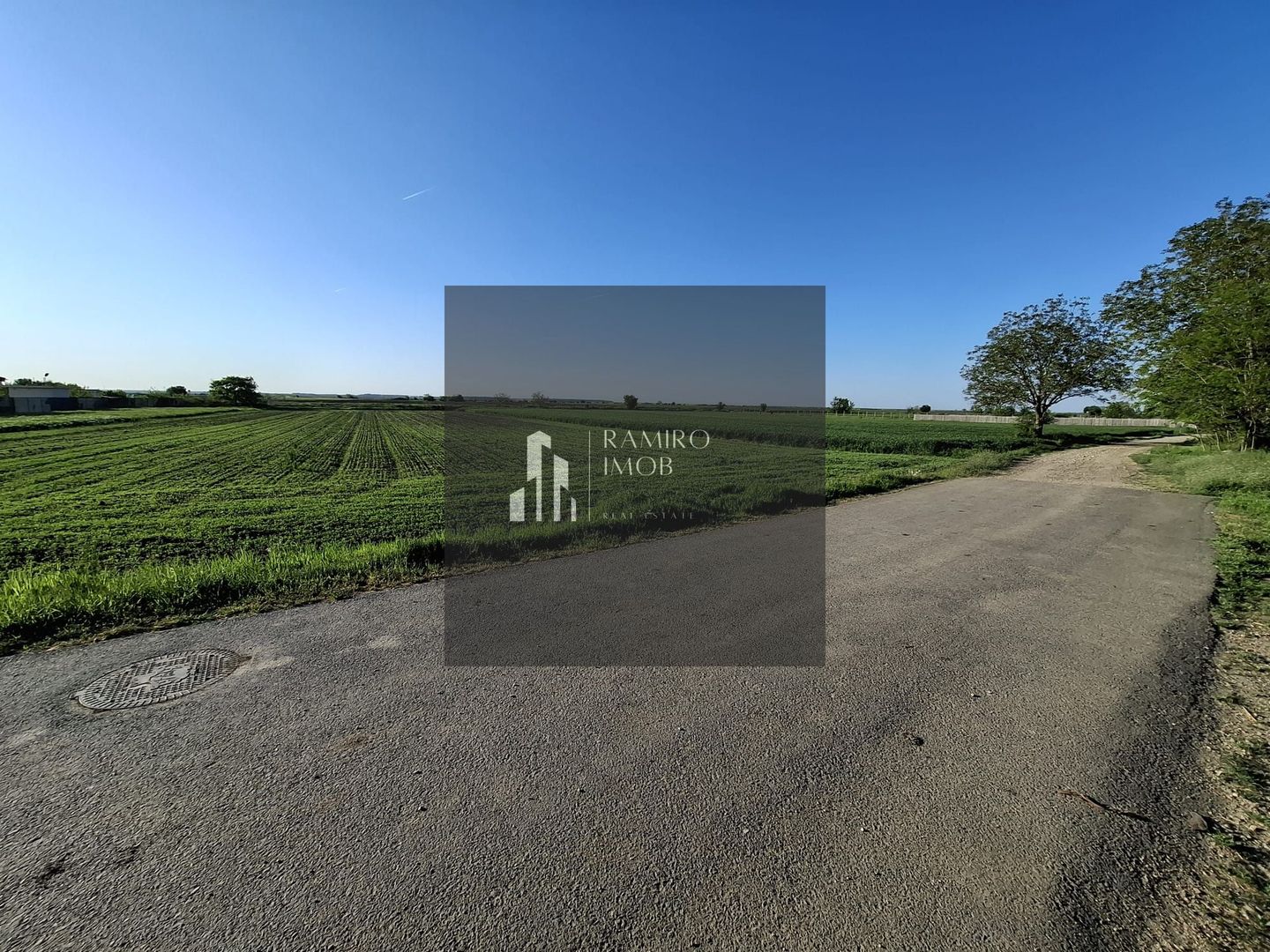 DÂRZA - TEREN INTRAVILAN - Poză 3