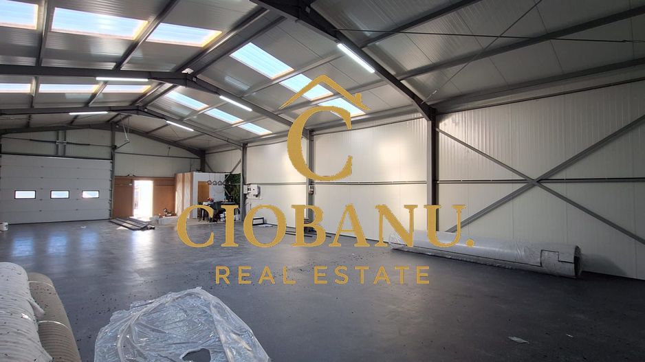 Hala de vanzare in Racarii de Jos - Poză 9