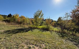 Teren intravilan Făget | 1.490 mp | Front 15 ml | Toate utilitățile - Poză 8