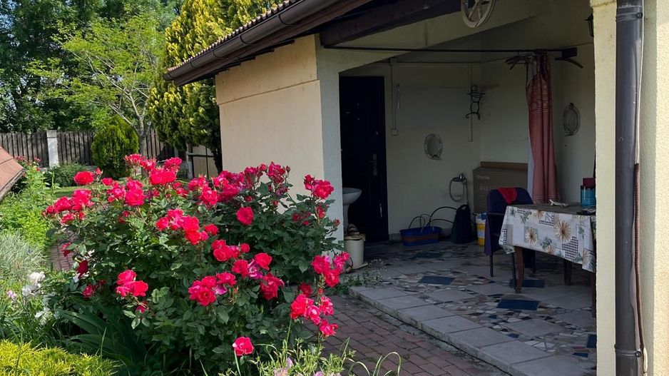 Casă elegantă, spațioasă, ideală pentru familie – Sanmihaiu Roman - Poză 27