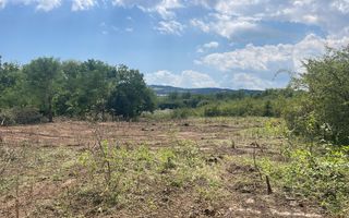 Oportunitate de Investiție Strategică | Teren Intravilan | Colonia Becas - Poză 6