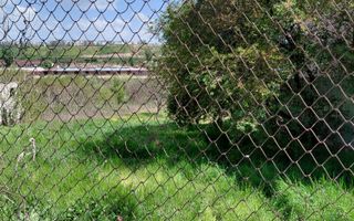 Teren intravilan 3.250 mp în Filești – Ideal pentru casă sau investiție! - Poză 5