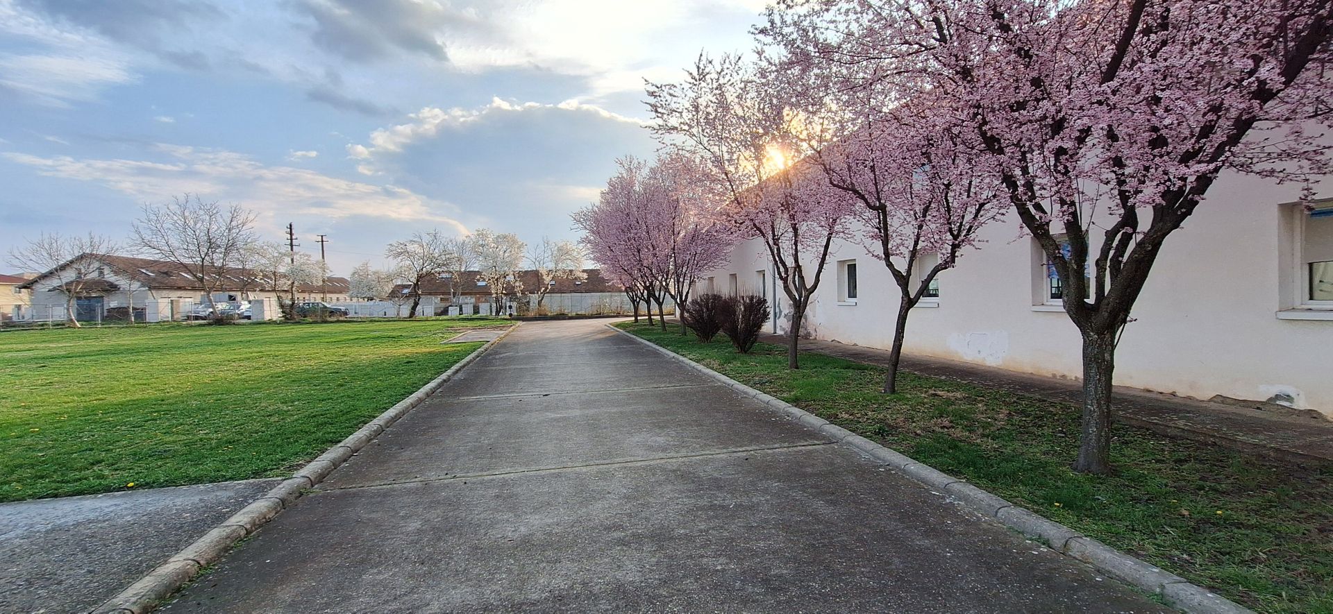 HALE de inchiriat - productie/depozitare/birouri - Poză 10