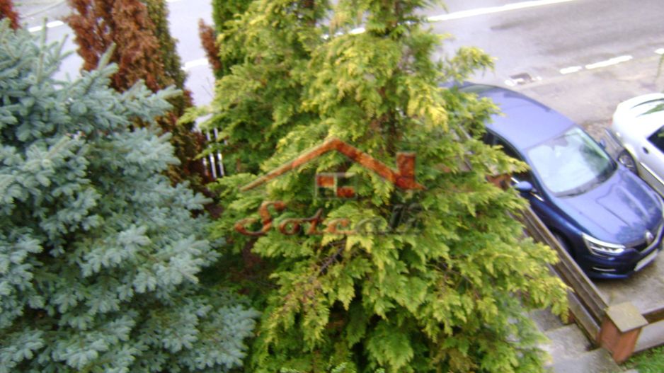 Casa P+M - Cornu de Sus - Poză 10