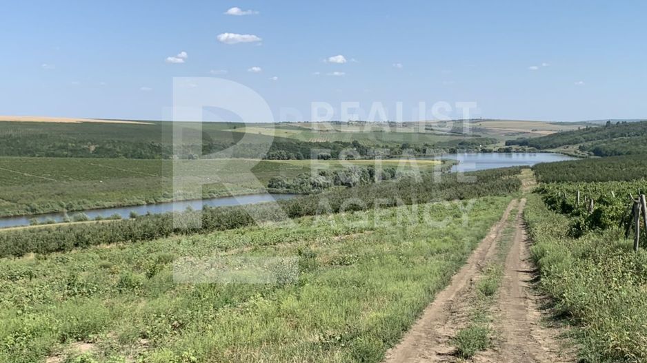 Vânzare, teren, 110 ha, sat. Țînțăreni, Anenii Noi - Poză 4