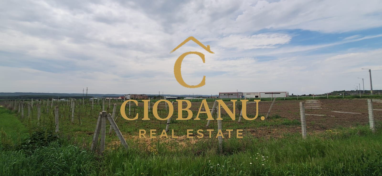 Teren intravilan cu PLANTATIE DE GOJII de vanzare in Racari - Poză 25