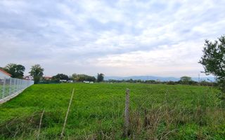 Oportunitate de investitie, posibilitate parcelare, 12.000 MP, Sebes - Poză 5