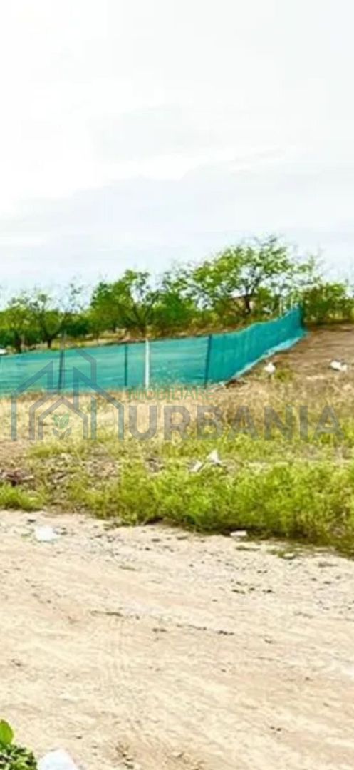 Teren Miroslava! - Poză 2