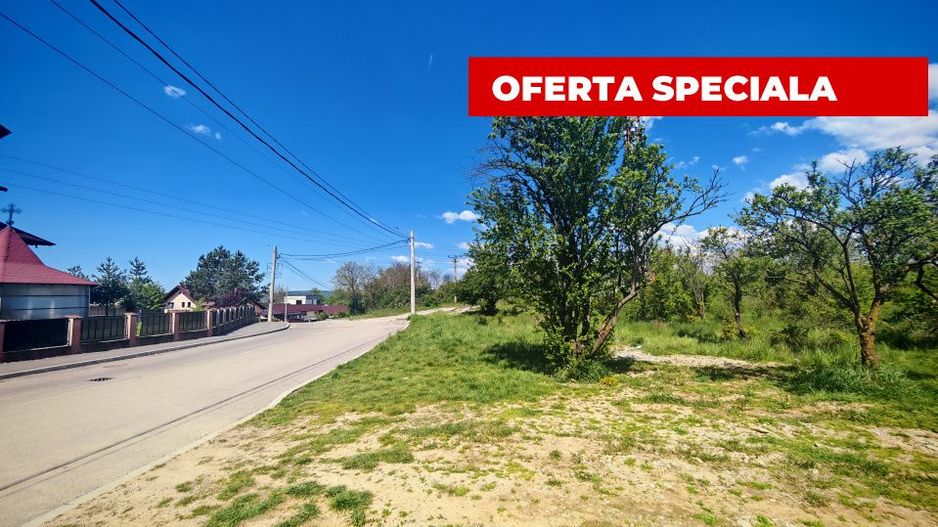 Teren intravilan 2.000 mp in Mioveni – Ideal pentru casa sau investitie! - Poză 1