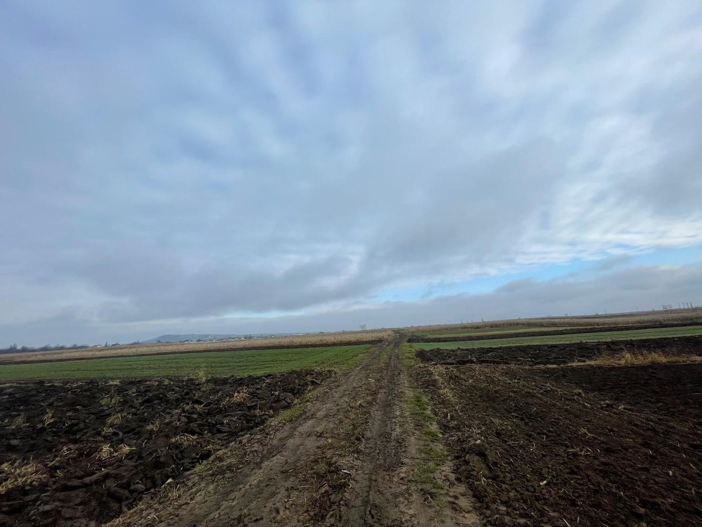 TEREN EXTRAVILAN 13 ARI | FRONT STRADAL 13 M | MARGINEA - Poză 6