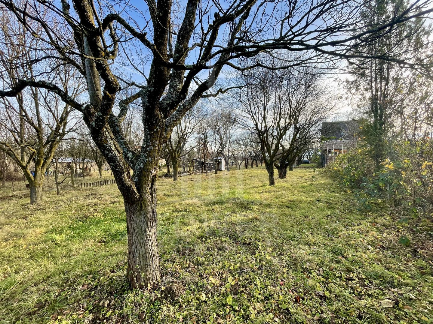 Teren intravilan 1.915 mp + cabană din lemn | Tocile – Sadu - Poză 9