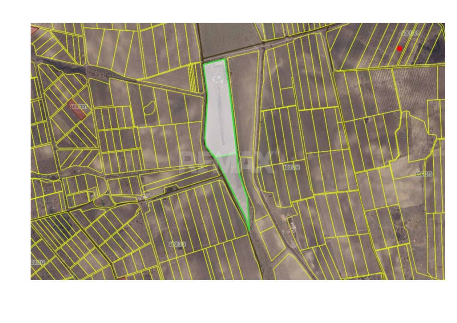 Teren agricol de vânzare – 6,8 hectare cu lac propriu și casă, Nisporeni - Poză 8
