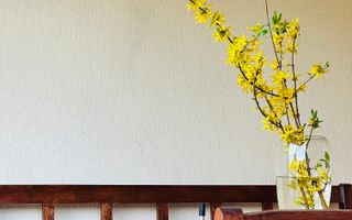 Oferta Inchiriata - Casa Segmentul Premium, 180 mp | Garaj&Gradina | Fropin - Poză 37