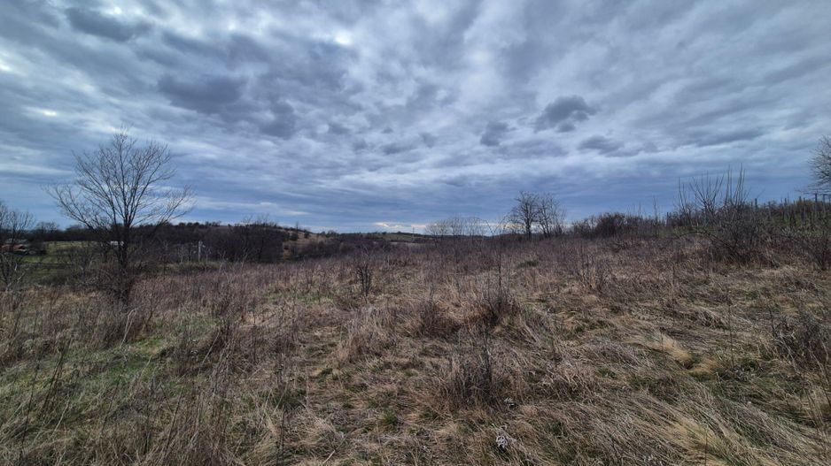 Vand 2 parcele de 5700 mp zona Iabalcea - Poză 8