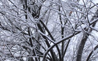 Teren cu izvor de apă minerală  Dangești, Punctul Valea Mare - Poză 29