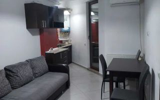 Apartament 1 camera Lazar Residence - 399 euro - Poză 5