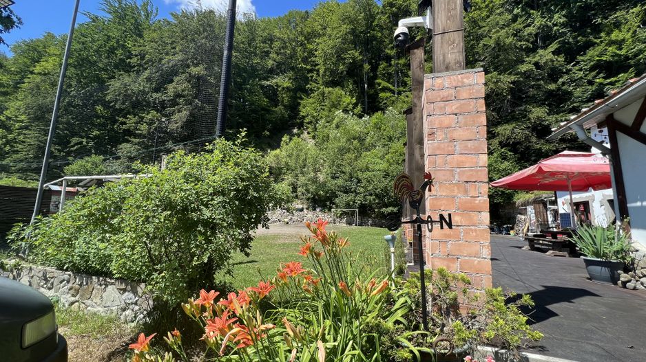 Pensiune Club Predeal - Poză 38