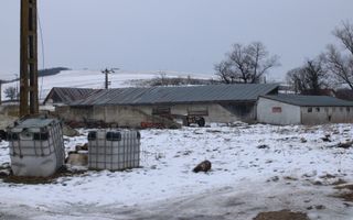 Teren 8000 mp I Intravilan I Utilitati- Vurpar - Poză 5