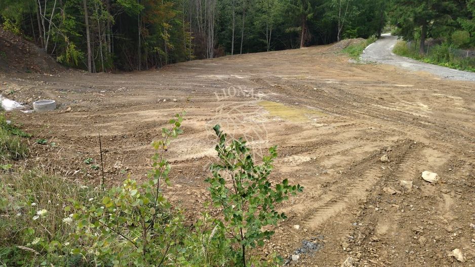 Teren intravilan 1350 mp-parcelabil-ideal cabana/restaurant-Colibita - Poză 2