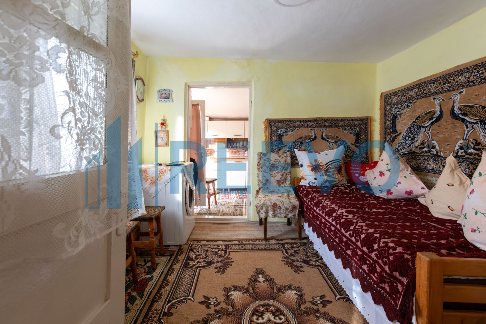 Casa si teren 3365mp Sascut - Poză 22