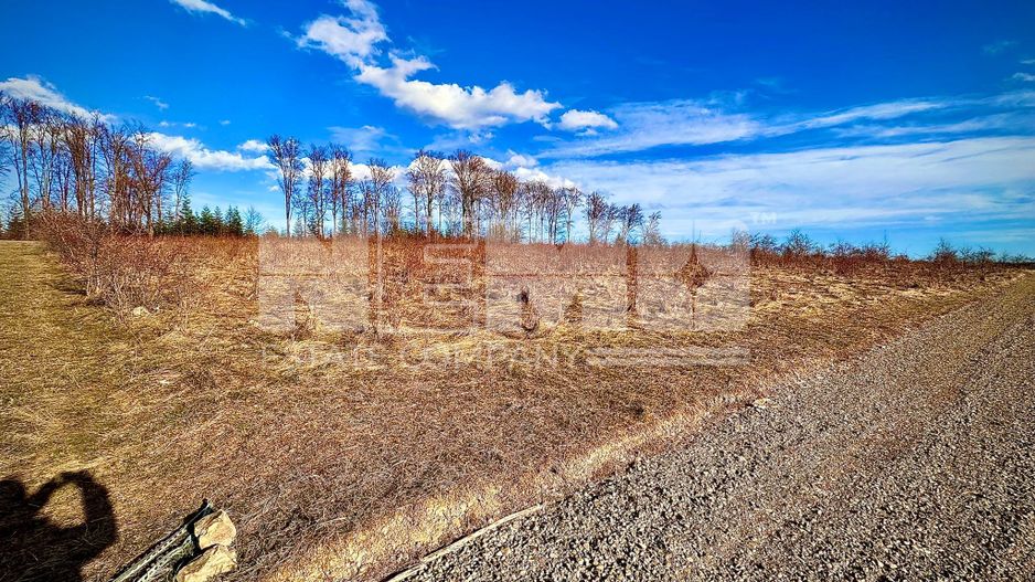 Teren intravilan | 48 ARI | Voivodeasa - Poză 2