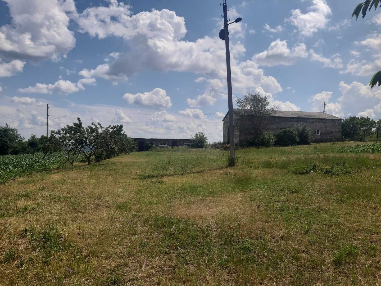 Teren cu spații industriale sau depozitare - Poză 2