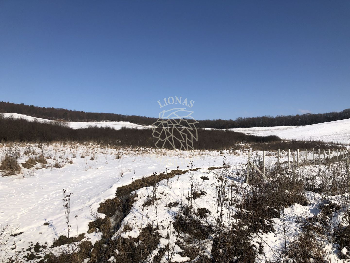 Teren 10000 si o parcela de 50 ari-oportunitate investitie-Jelna - Poză 3