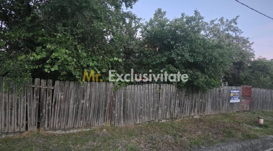 Casă cu 7.769 mp teren și pădure | Budieni | 53.000€ - Poză 3