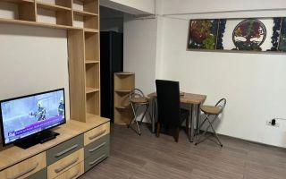 AP. 2 CAMERE- UNIRII, CENTRALA PROPRIE, BLOC NOU, BUCATARIE INCHISA - Poză 6