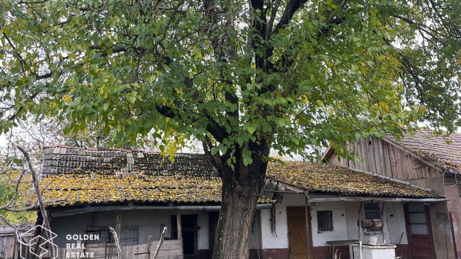 Casa traditionala cu gradina de 2200 mp, Peregu Mic - Poză 6